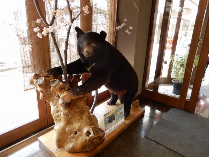 f:id:k9352009:20180306102520j:image f:id:k9352009:20180306102520j:image
