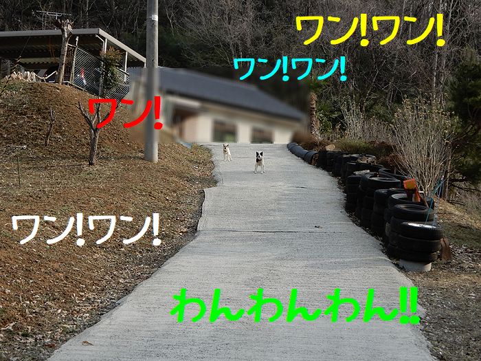 f:id:k9352009:20180316101317j:image f:id:k9352009:20180316101317j:image
