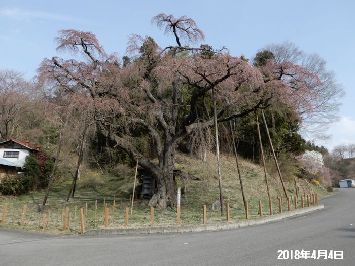 f:id:k9352009:20180406091012j:image