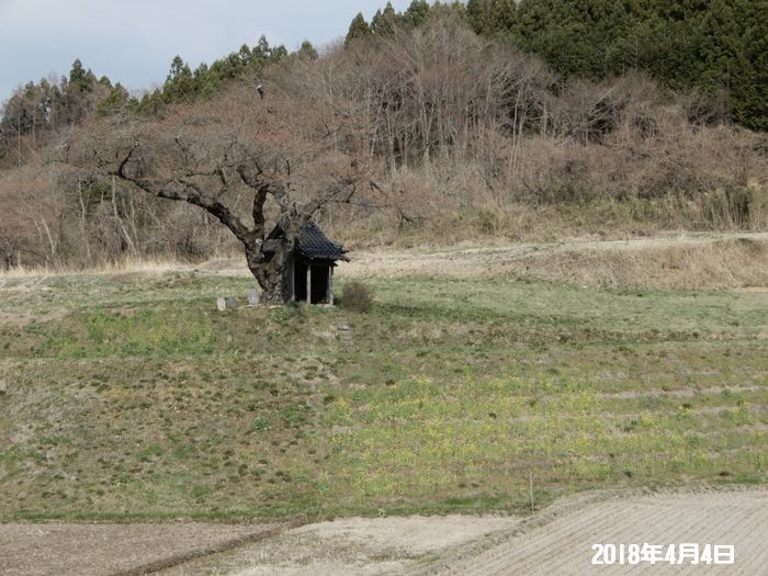 f:id:k9352009:20180406091153j:image