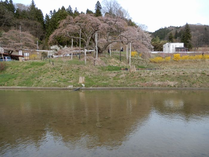 f:id:k9352009:20180406094059j:image