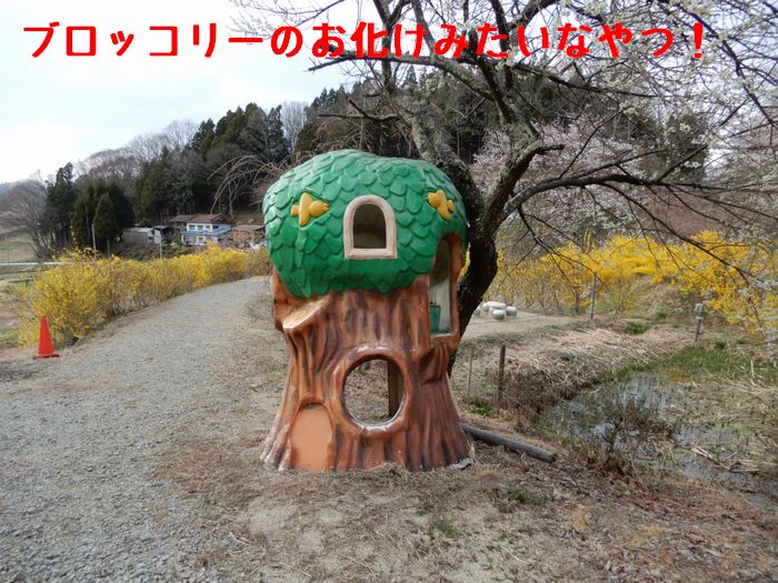 f:id:k9352009:20180406094608j:image
