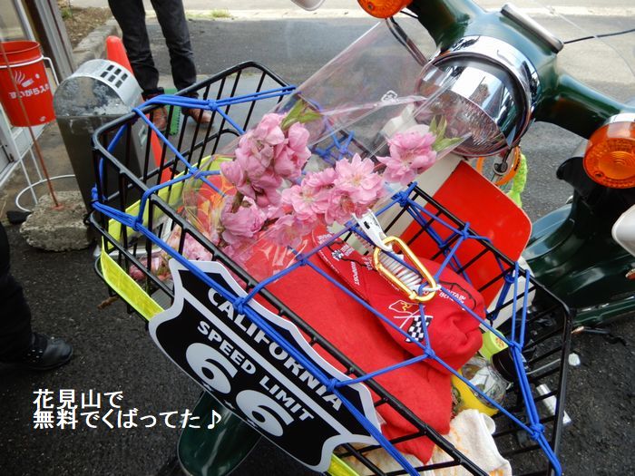 f:id:k9352009:20180413100245j:image