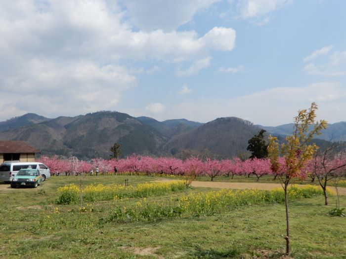 f:id:k9352009:20180413102110j:image