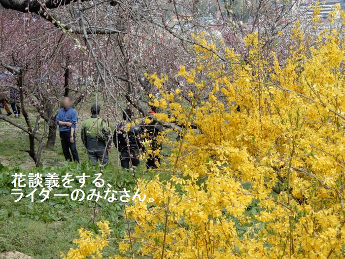 f:id:k9352009:20180413102437j:image