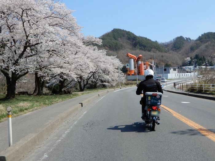 f:id:k9352009:20180414084609j:image