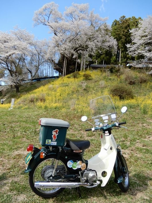 f:id:k9352009:20180414085350j:image