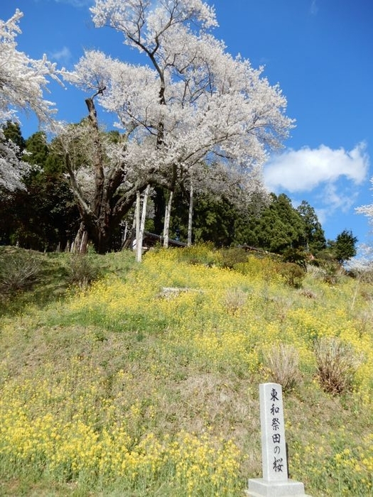 f:id:k9352009:20180414085402j:image