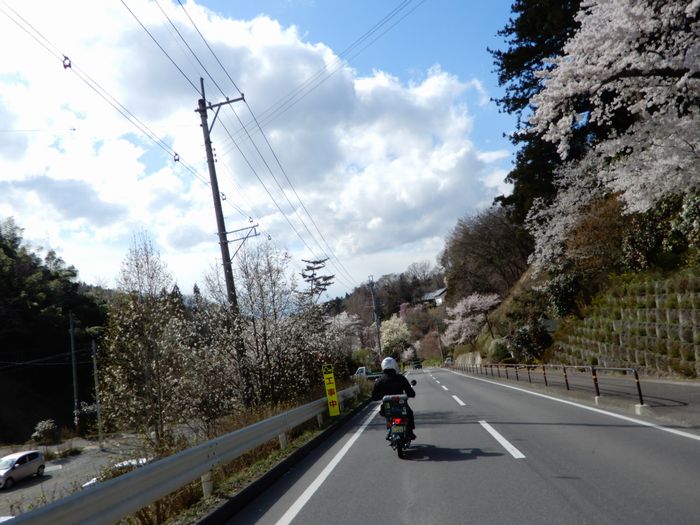 f:id:k9352009:20180414085553j:image