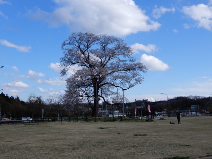 f:id:k9352009:20180414085804j:image