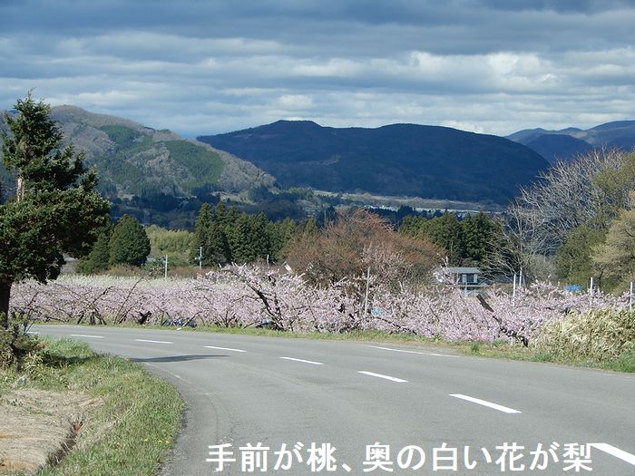 f:id:k9352009:20180416092024j:image