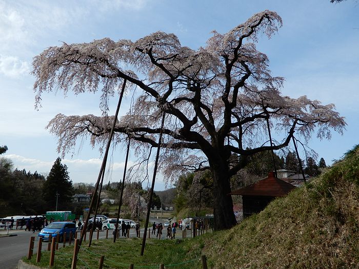 f:id:k9352009:20180418112729j:image