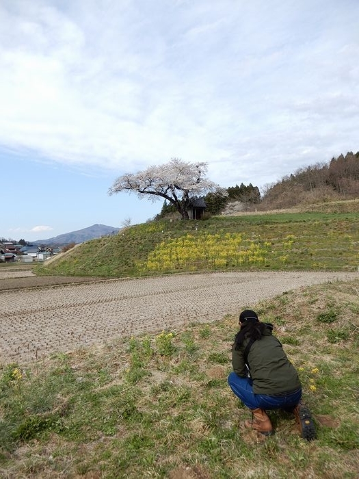 f:id:k9352009:20180418115617j:image