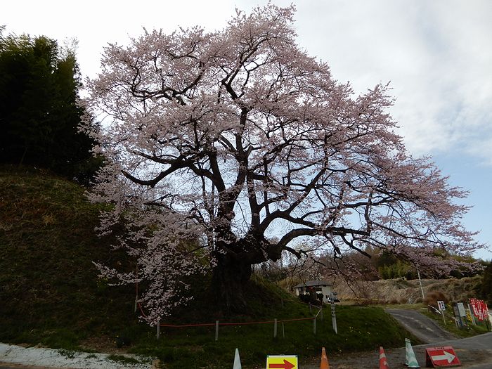 f:id:k9352009:20180418115931j:image