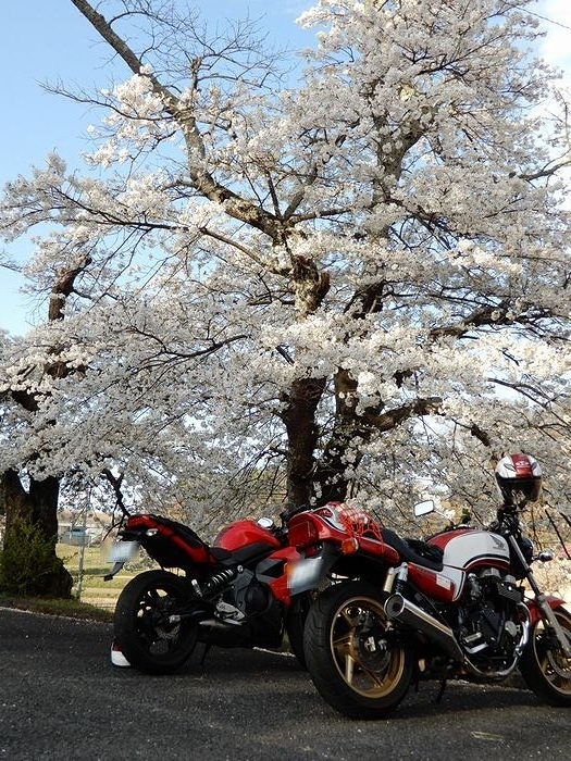 f:id:k9352009:20180418154253j:image