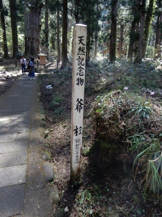 f:id:k9352009:20180507095856j:image