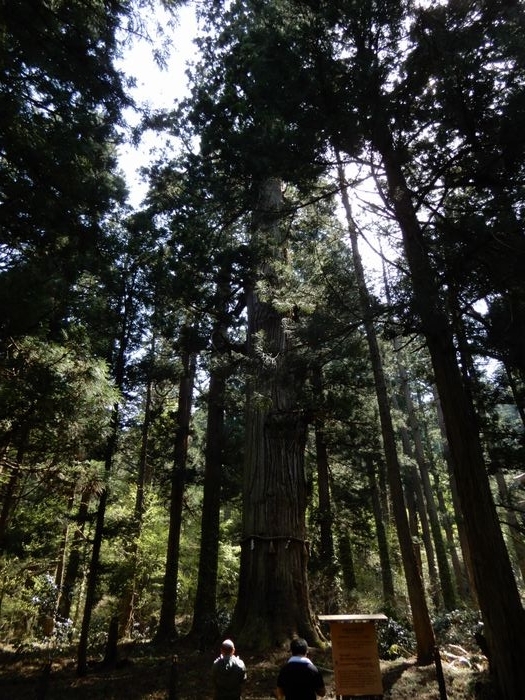 f:id:k9352009:20180507100018j:image