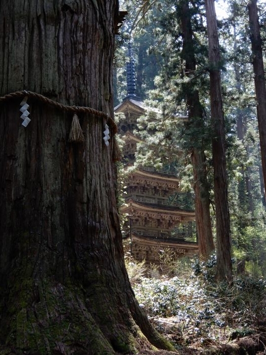 f:id:k9352009:20180507100218j:image