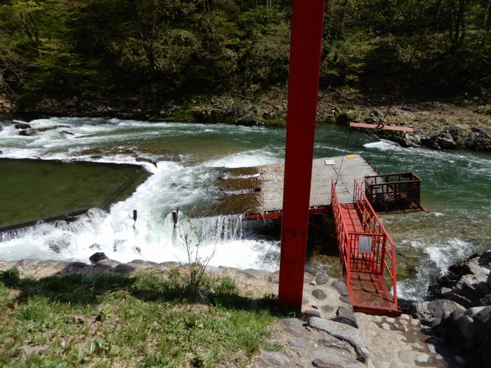 f:id:k9352009:20180507110447j:image