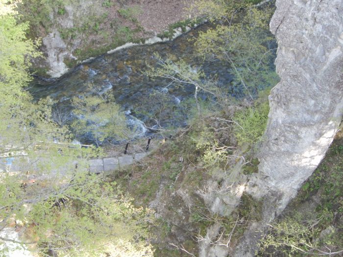 f:id:k9352009:20180507110819j:image