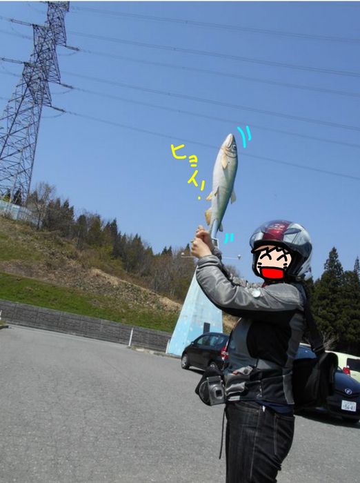 f:id:k9352009:20180507125203j:image