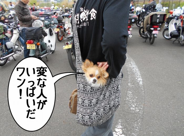 f:id:k9352009:20180521124501j:image