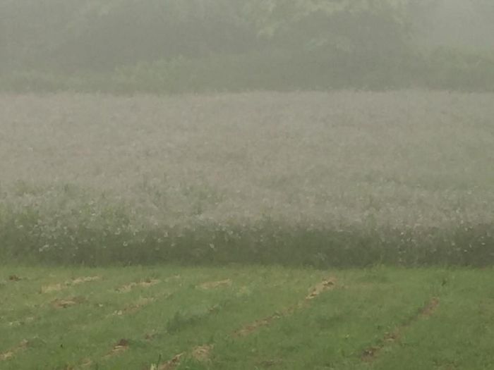 f:id:k9352009:20180522100856j:image