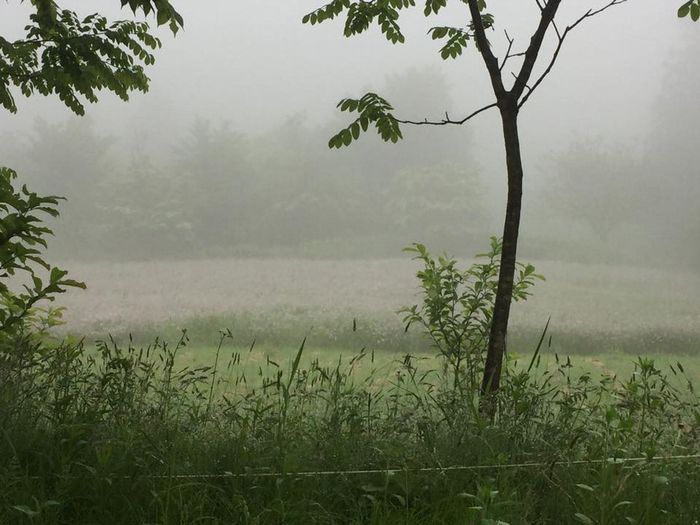 f:id:k9352009:20180522100859j:image