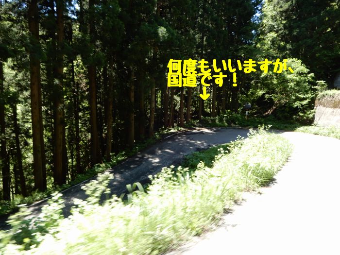 f:id:k9352009:20180525092808j:image