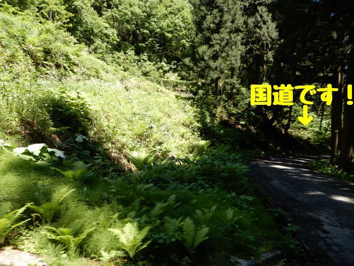 f:id:k9352009:20180525092819j:image