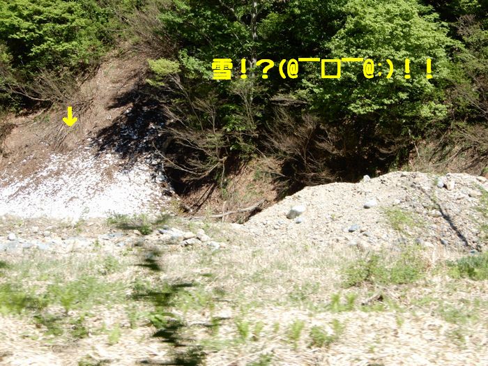f:id:k9352009:20180528111812j:image f:id:k9352009:20180528111812j:image