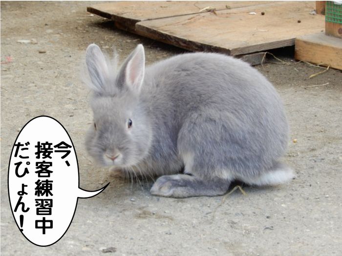 f:id:k9352009:20180528133840j:image f:id:k9352009:20180528133840j:image