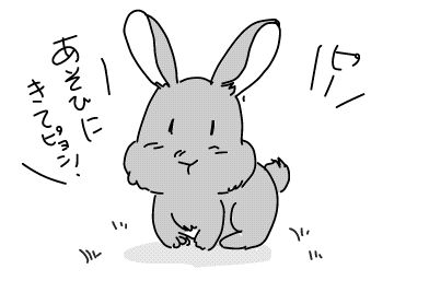 f:id:k9352009:20180528143310j:image f:id:k9352009:20180528143310j:image