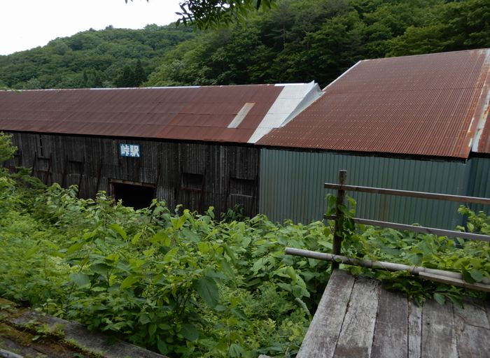 f:id:k9352009:20180711095051j:image