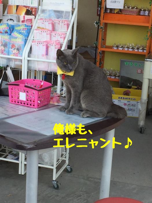 f:id:k9352009:20180803092905j:image