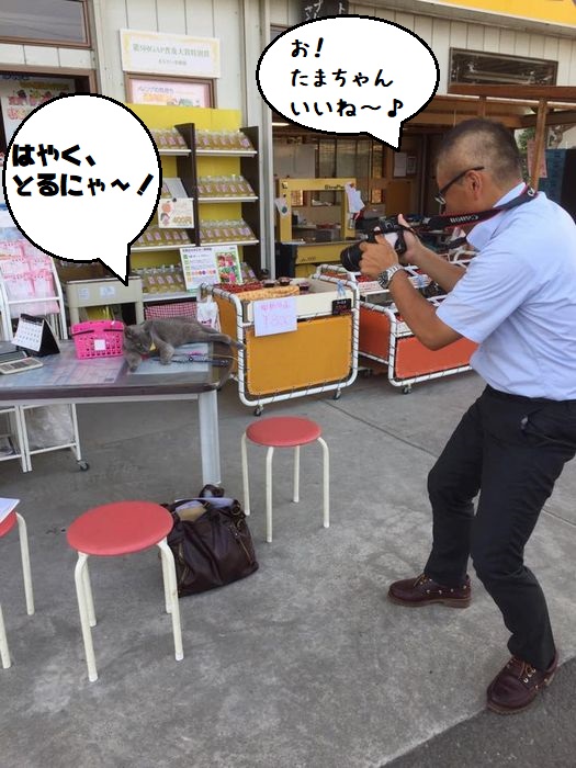 f:id:k9352009:20180803093311j:image