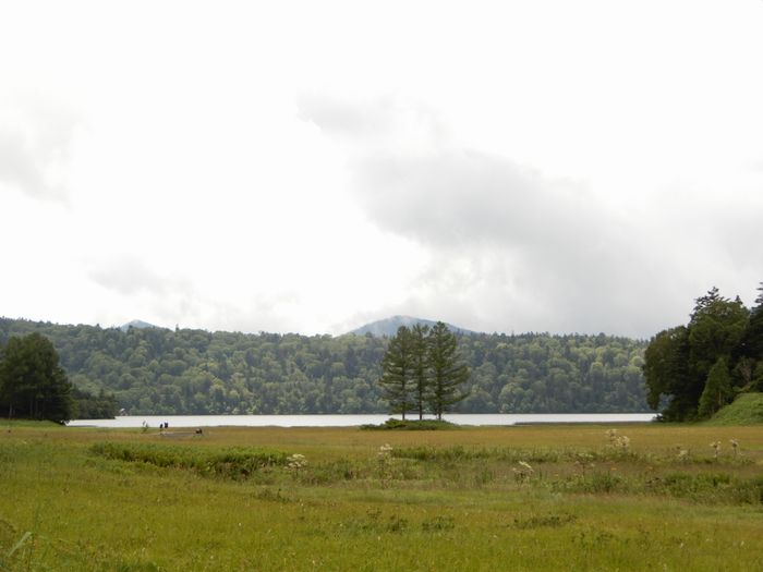 f:id:k9352009:20180829093439j:image