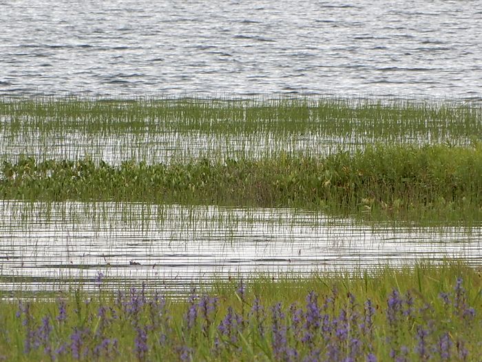 f:id:k9352009:20180829093639j:image