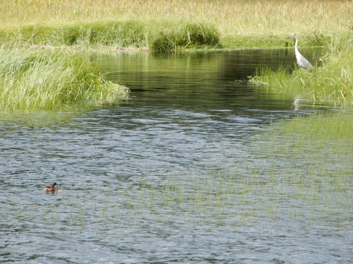 f:id:k9352009:20180829100803j:image:w700