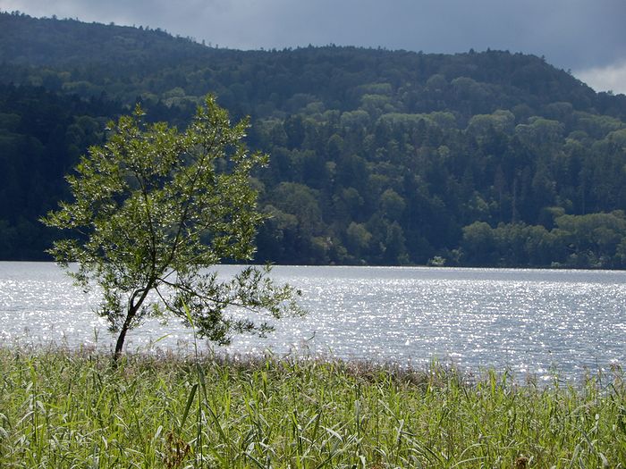 f:id:k9352009:20180829102737j:image