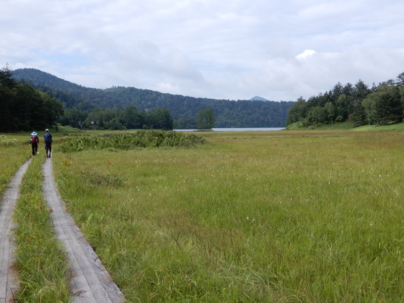 f:id:k9352009:20180831083317j:image:w700
