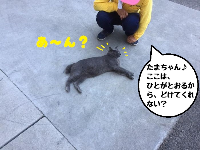 f:id:k9352009:20180902110455j:image