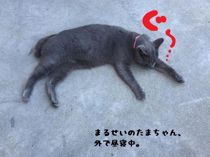 f:id:k9352009:20180902110457j:image