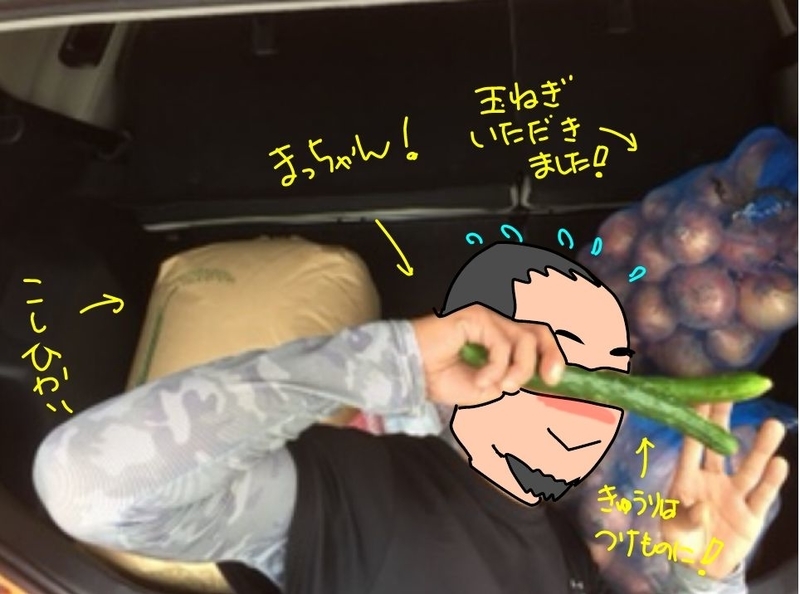 f:id:k9352009:20180928104838j:image:w640 f:id:k9352009:20180928104838j:image:w640
