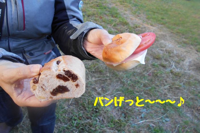 f:id:k9352009:20181023095417j:image