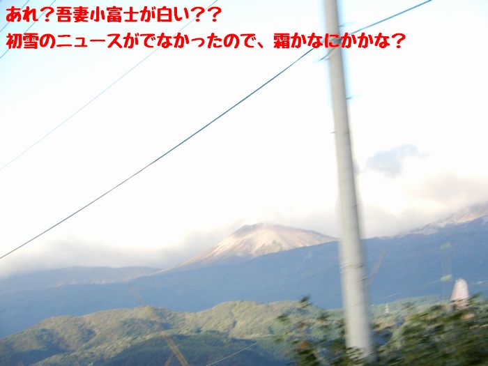 f:id:k9352009:20181023114819j:image