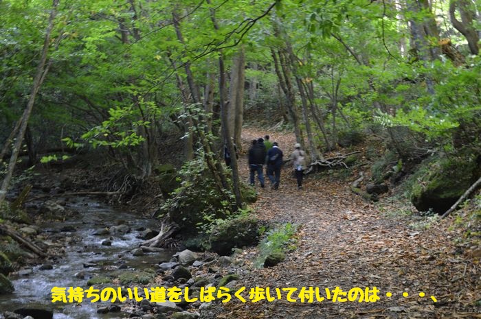 f:id:k9352009:20181025111853j:image