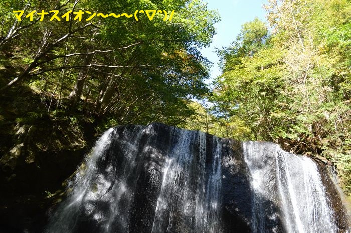 f:id:k9352009:20181025112913j:image