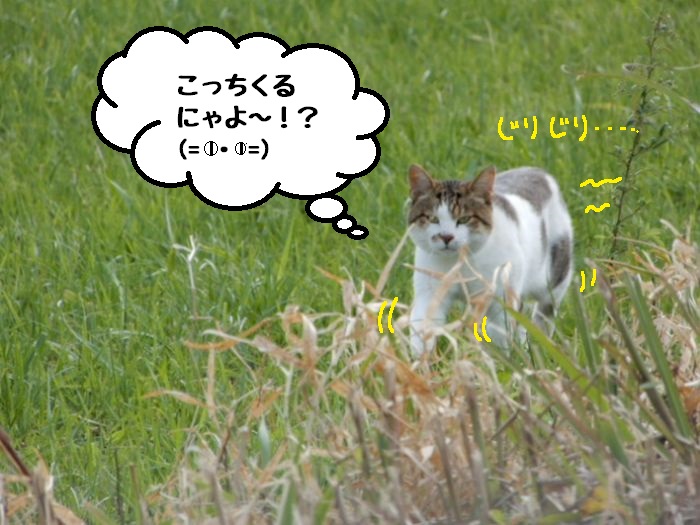 f:id:k9352009:20181026095629j:image f:id:k9352009:20181026095629j:image