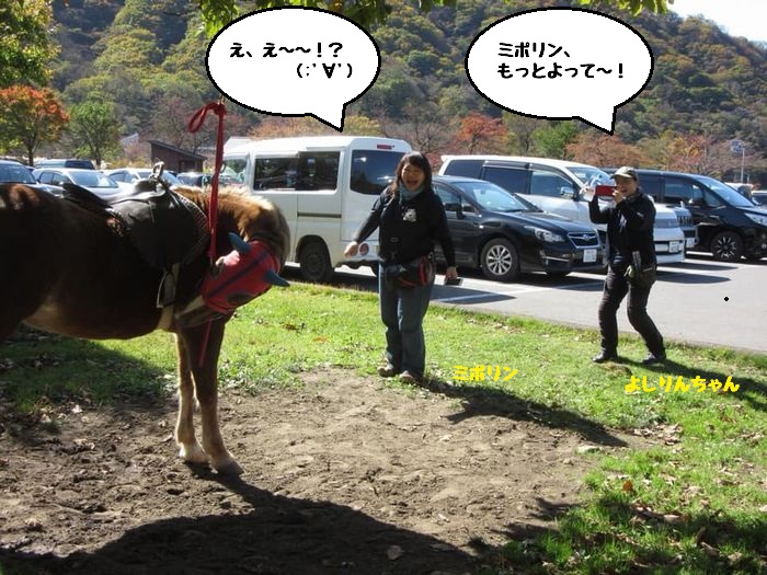 f:id:k9352009:20181106103444j:image f:id:k9352009:20181106103444j:image